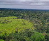 Imazon aponta desmatamento zero em 60% de terras indígenas na Amazônia