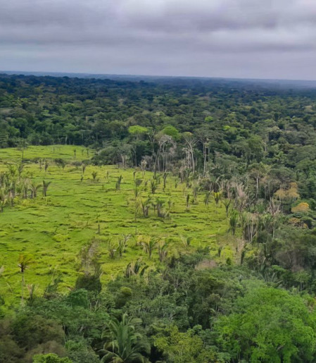Imazon aponta desmatamento zero em 60% de terras indígenas na Amazônia