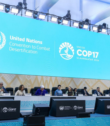 Afetada por disputas geopolíticas, COP17 termina com poucos avanços