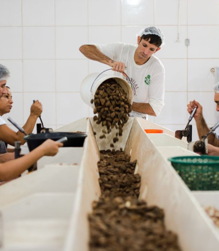 Consulta sobre bens sustentáveis no acordo MercosulUE acaba na quarta