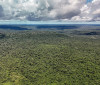 Reino Unido anuncia 400 mi de libras para Fundo Florestas Tropicais