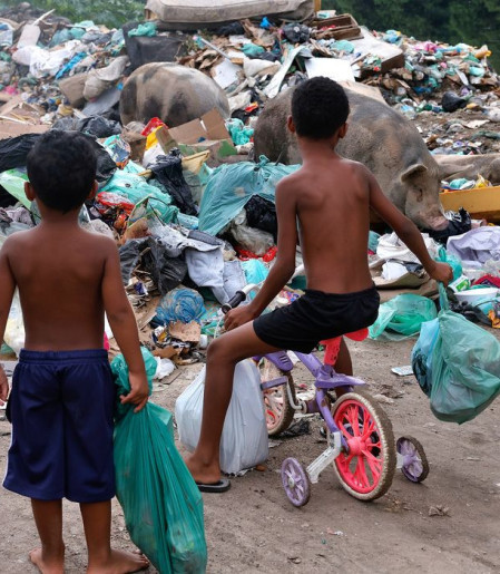 Senado aprova direito prioritário da criança a meio ambiente saudável