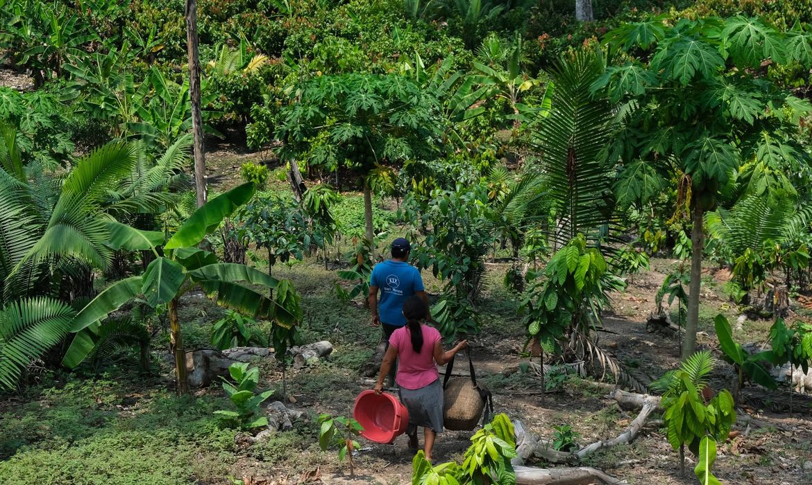 Da Amazônia ao Chaco, América Latina tem desafios com clima e terra