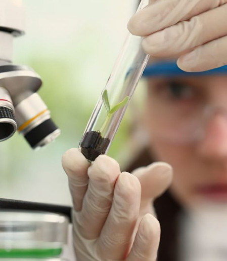Prêmio para mulheres e meninas cientistas abre inscrições até outubro