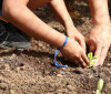 Entidades pedem apoio de candidatos em defesa da agroecologia