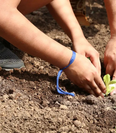 Entidades pedem apoio de candidatos em defesa da agroecologia