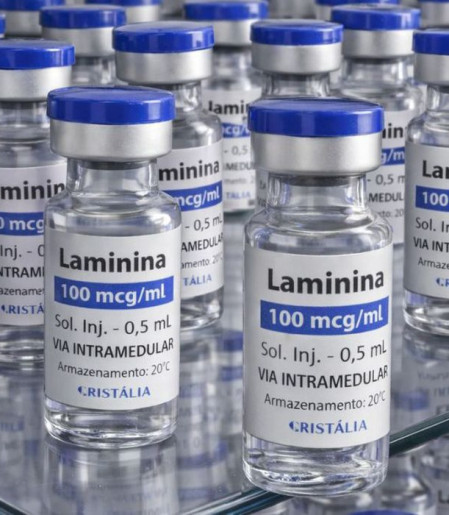 Testes clínicos fase 1 da polilaminina começam este mês