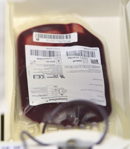Fundação Pró-Sangue alerta para baixo estoque e faz apelo a doadores