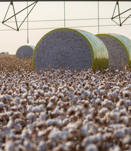 Entenda mudança no mapa que tirou Sorriso do topo da produção agrícola
