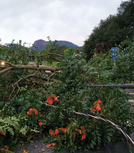 Alerta de tempestade: frente fria amplia instabilidade na Região Sul