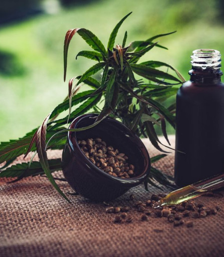 Para associações, normas ainda deixam pontos em aberto sobre cannabis
