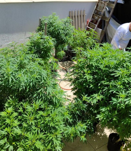Feira em Fortaleza defende políticas sobre drogas com justiça social