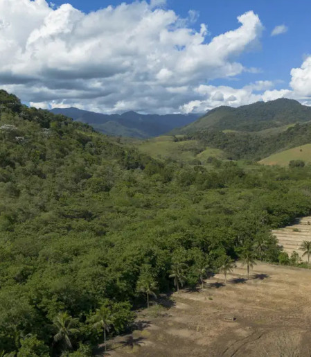 Agricultura ganha 11 milhões de hectares em 41 anos na Mata Atlântica