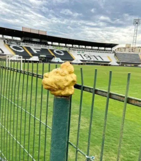 Votação sobre proposta de SAF acontece no Estádio Palma Travassos 