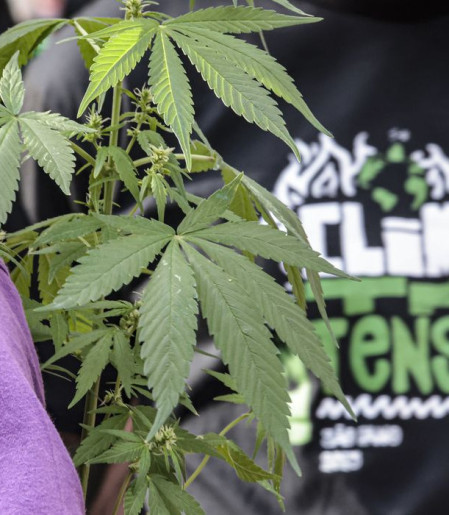 Flagrante por drogas gera mais prisão preventiva do que outros crimes