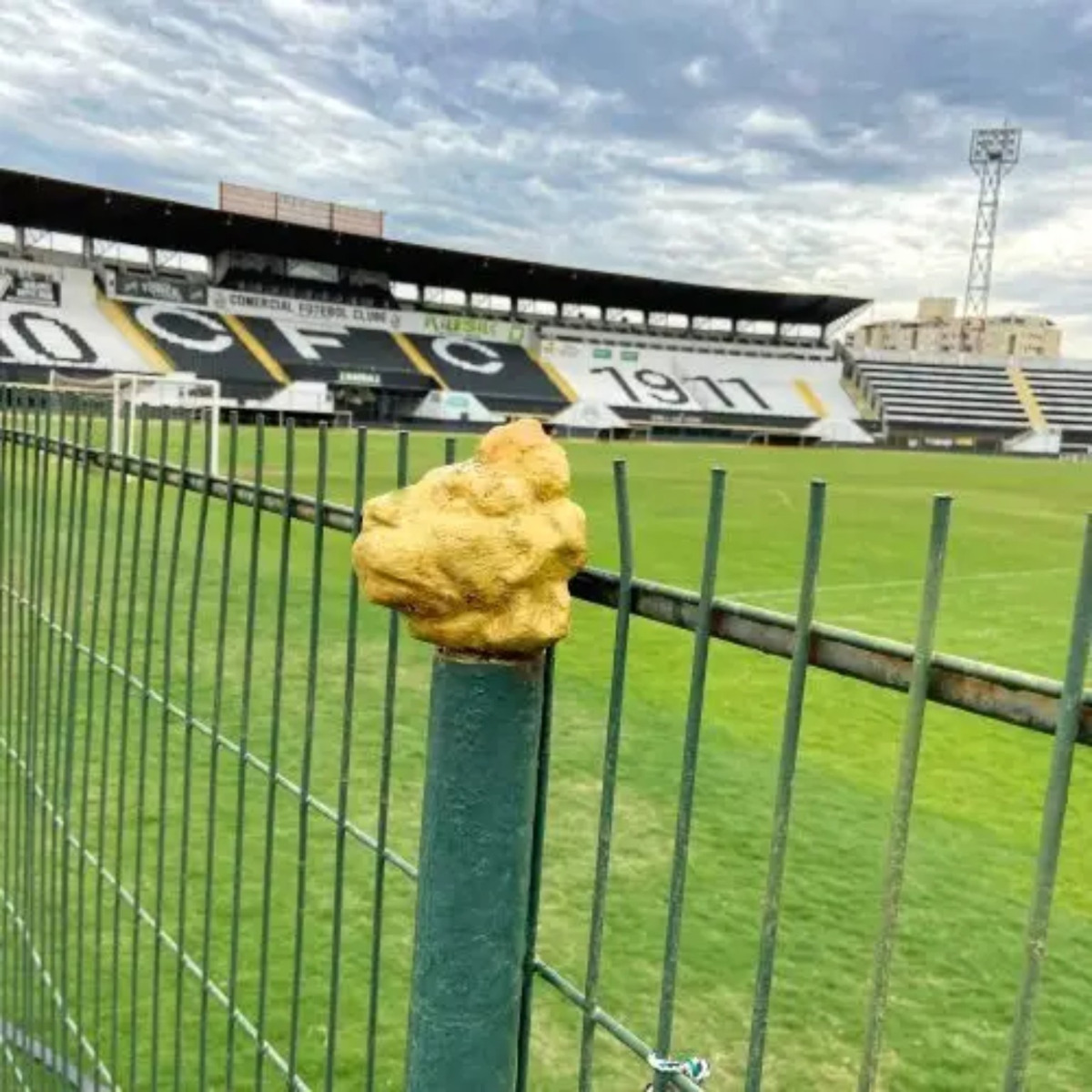 Votação sobre proposta de SAF acontece no Estádio Palma Travassos 