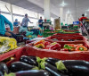 Campanha busca engajamento para reduzir desperdício de alimento