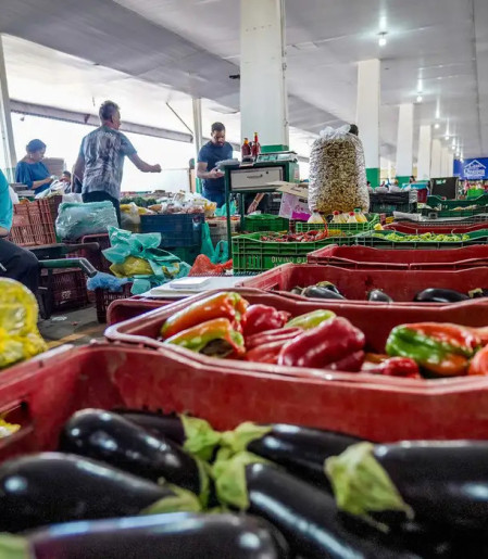 Campanha busca engajamento para reduzir desperdício de alimento