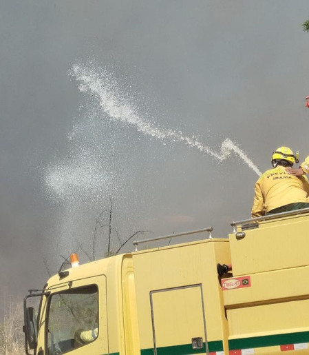 Bombeiros controlam incêndio em área de mata na UnB