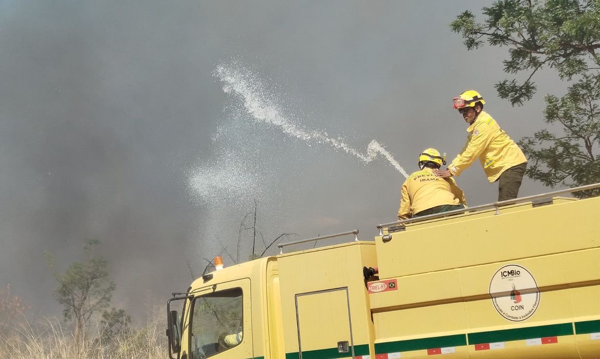 Bombeiros controlam incêndio em área de mata na UnB