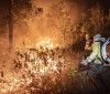 Ibama extingue 229 incêndios no Amazonas e segue no combate ao fogo