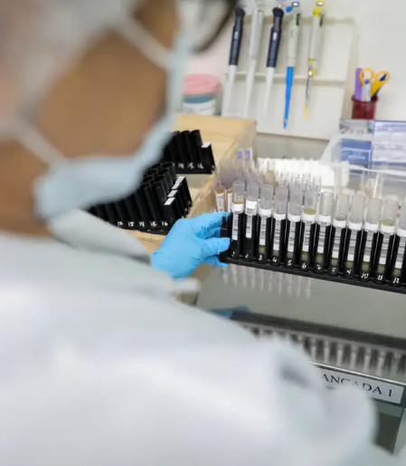 Malária: Anvisa autoriza teste em humanos de vacina 100% brasileira