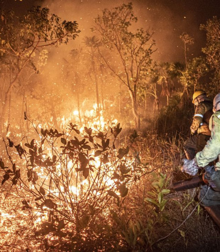 Ibama extingue 229 incêndios no Amazonas e segue no combate ao fogo