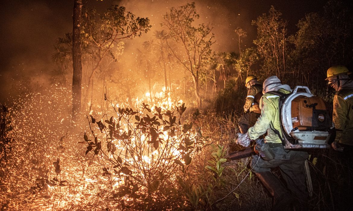 Ibama extinguiu 229 incêndios no Amazonas