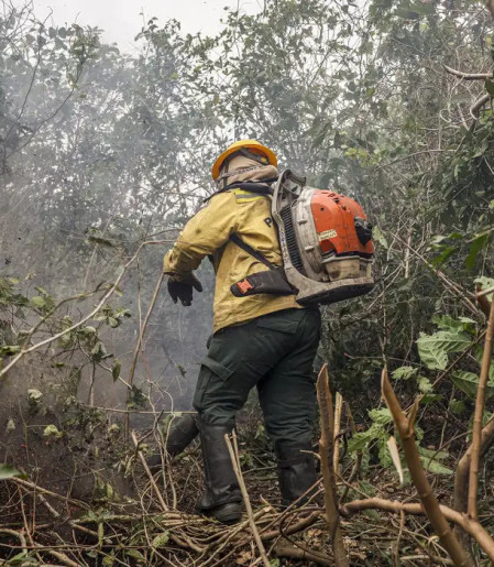 Incêdios no Amazonas resultam de ação humana intencional, diz ministro