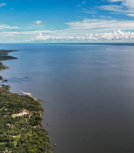 Veja os planos de governo de Flávio e Lula para meio ambiente e clima