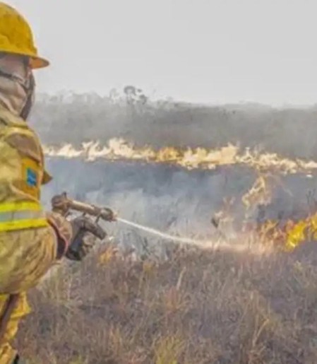 Governo investiga se há organização por trás dos incêndios no Amazonas