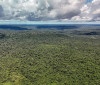 MapBiomas: Amazônia registra menor nível de desmatamento em 41 anos