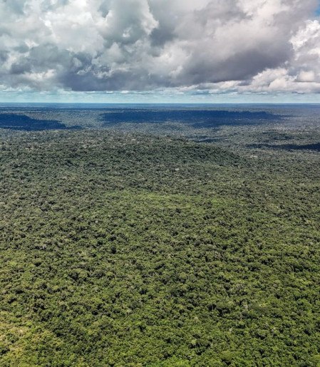 MapBiomas: Amazônia registra menor nível de desmatamento em 41 anos