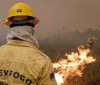 Focos de incêndio no Amazonas diminuem após ação de força-tarefa