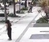 Professora aposentada da UFRJ é baleada em assalto na zona sul do Rio