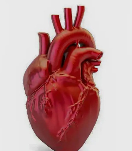 A cada 72 segundos, uma pessoa morre por doença cardiovascular no país
