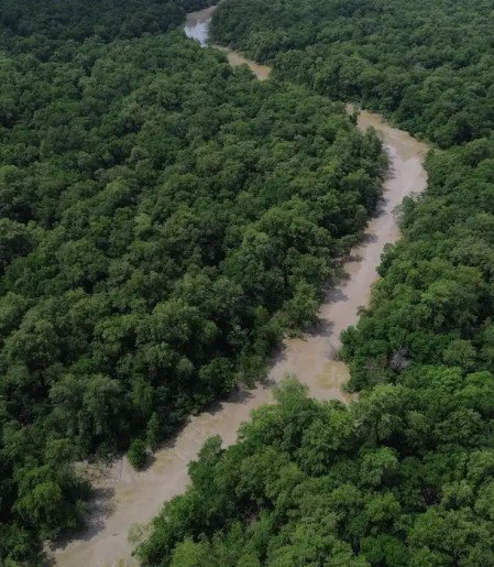 Desmatamento cai 41,8% na Amazônia e 23,8% no Cerrado em um ano