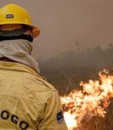 Focos de incêndio no Amazonas diminuem após ação de força-tarefa