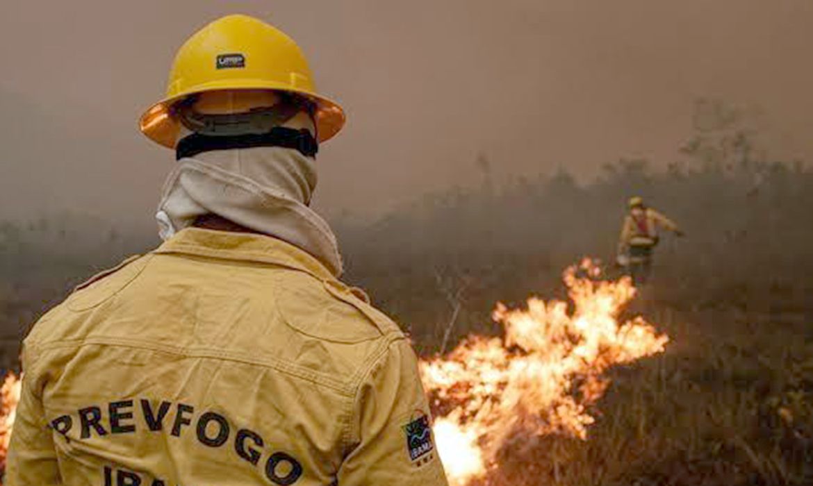 Focos de incêndio no Amazonas diminuem após ação de força-tarefa