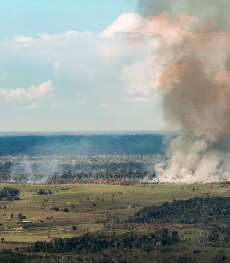 Incêndios avançam sobre o oeste do Pará e deixam ar insalubre