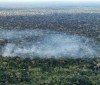 Estudo aponta atividade humana nas emissões de carbono na Amazônia