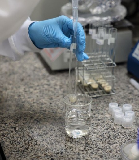 Doença de Newcastle: protocolos sanitários são cumpridos em SC