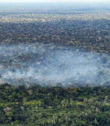 Estudo aponta atividade humana nas emissões de carbono na Amazônia