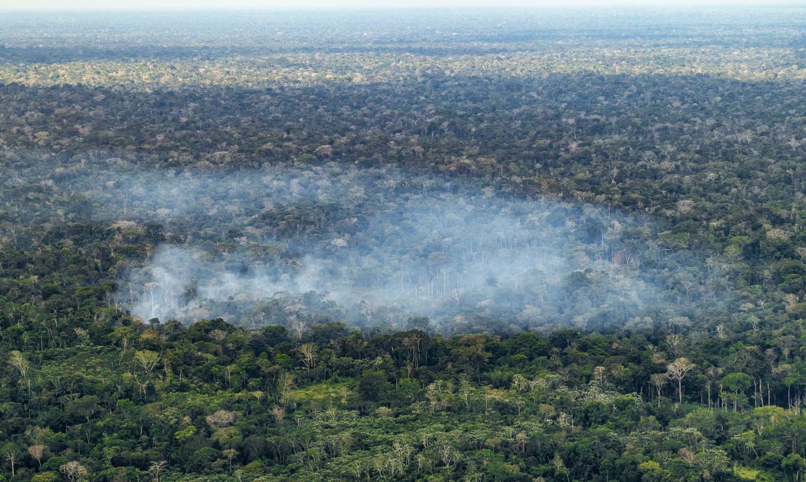 Estudo aponta atividade humana nas emissões de carbono na Amazônia