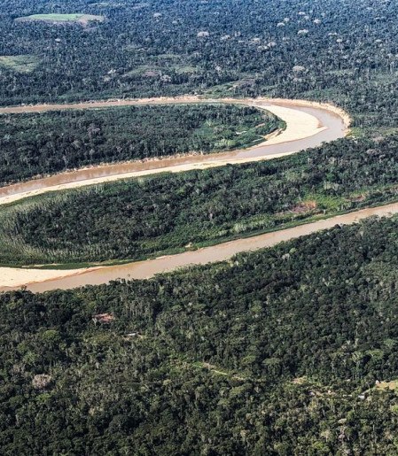 Holanda anuncia US$ 500 milhões em fundo florestal criado pelo Brasil