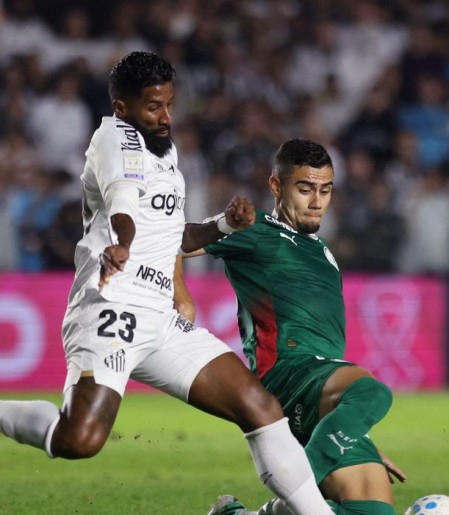 Brasileirão: Palmeiras fica no zero com o Santos e Flamengo agradece