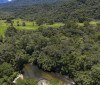 Brasil diminui em 43% área de vegetação nativa fragmentada
