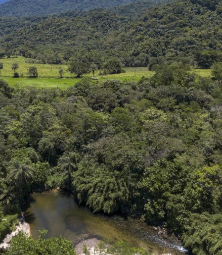 Brasil diminui em 43% área de vegetação nativa fragmentada