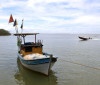 Pesca na foz do Rio Doce volta a ser liberada depois de dez anos